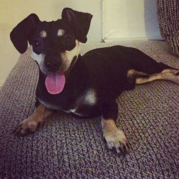 Meet your Posher, Debbie - Picture 1 of 1